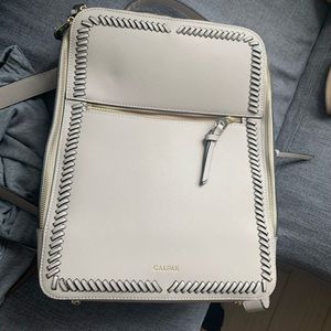 Calpak laptop backpack